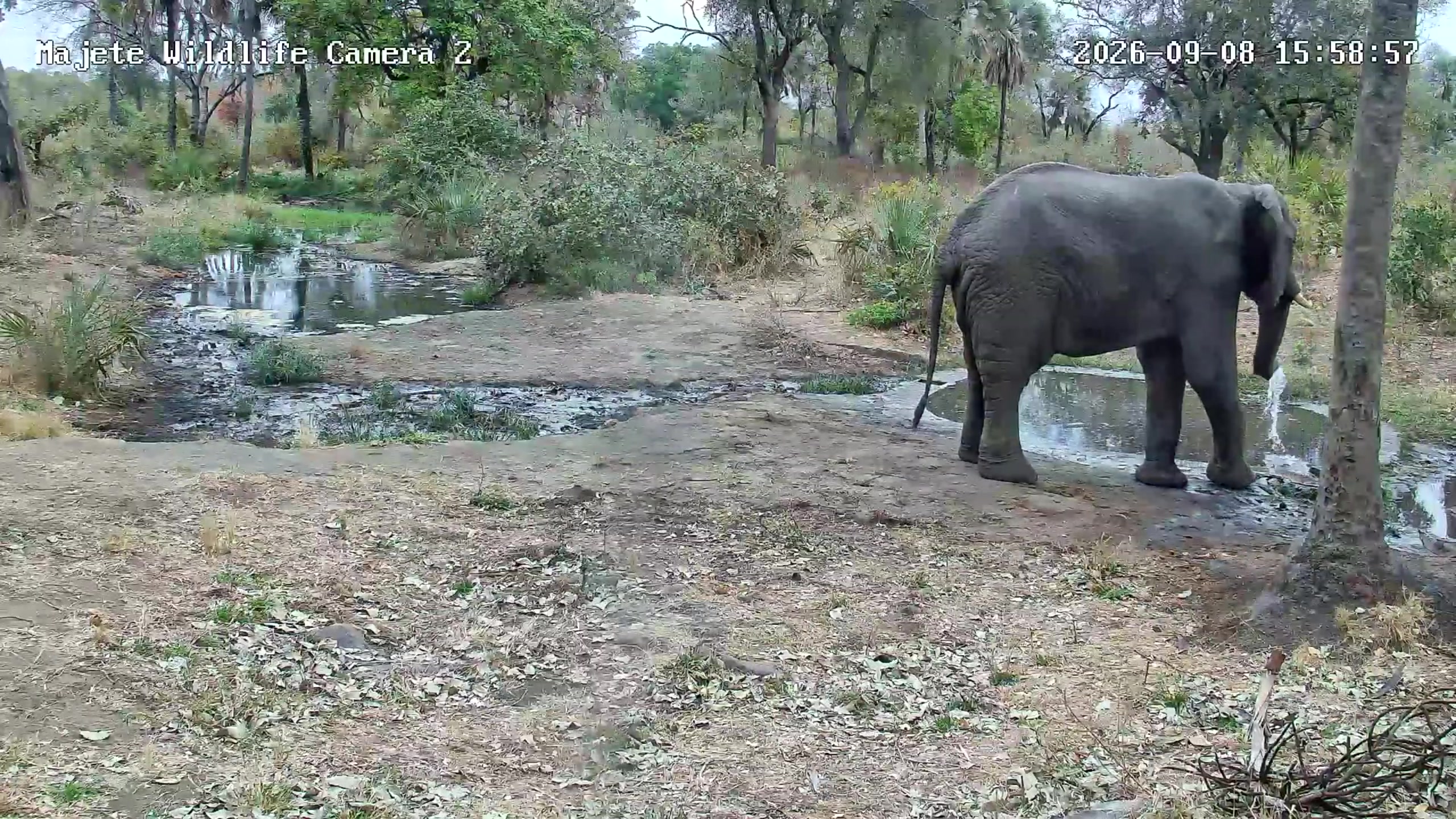 snapshot