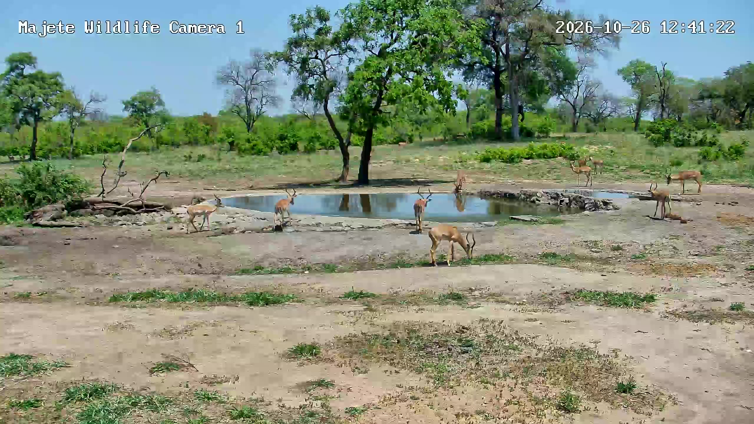 snapshot