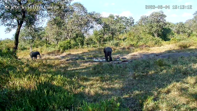 snapshot