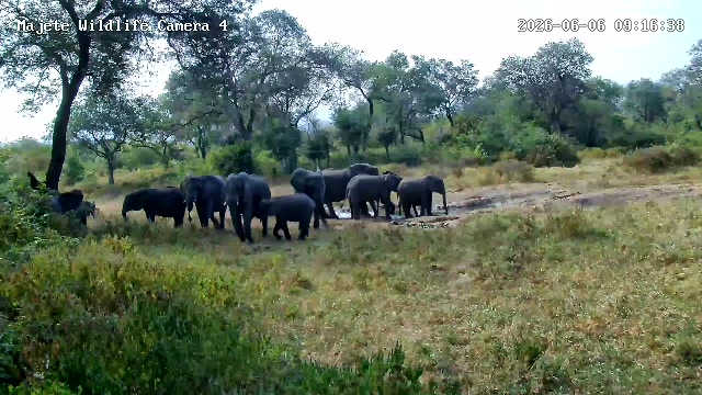 snapshot