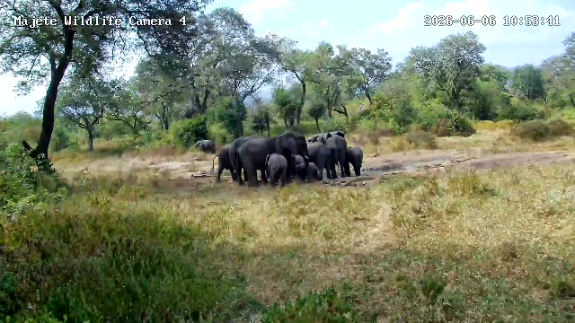 snapshot