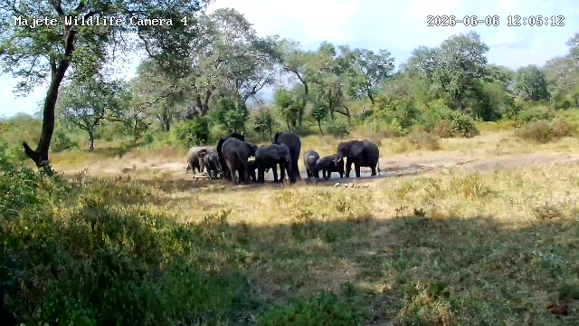 snapshot