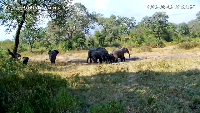 snapshot
