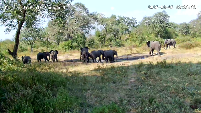 snapshot