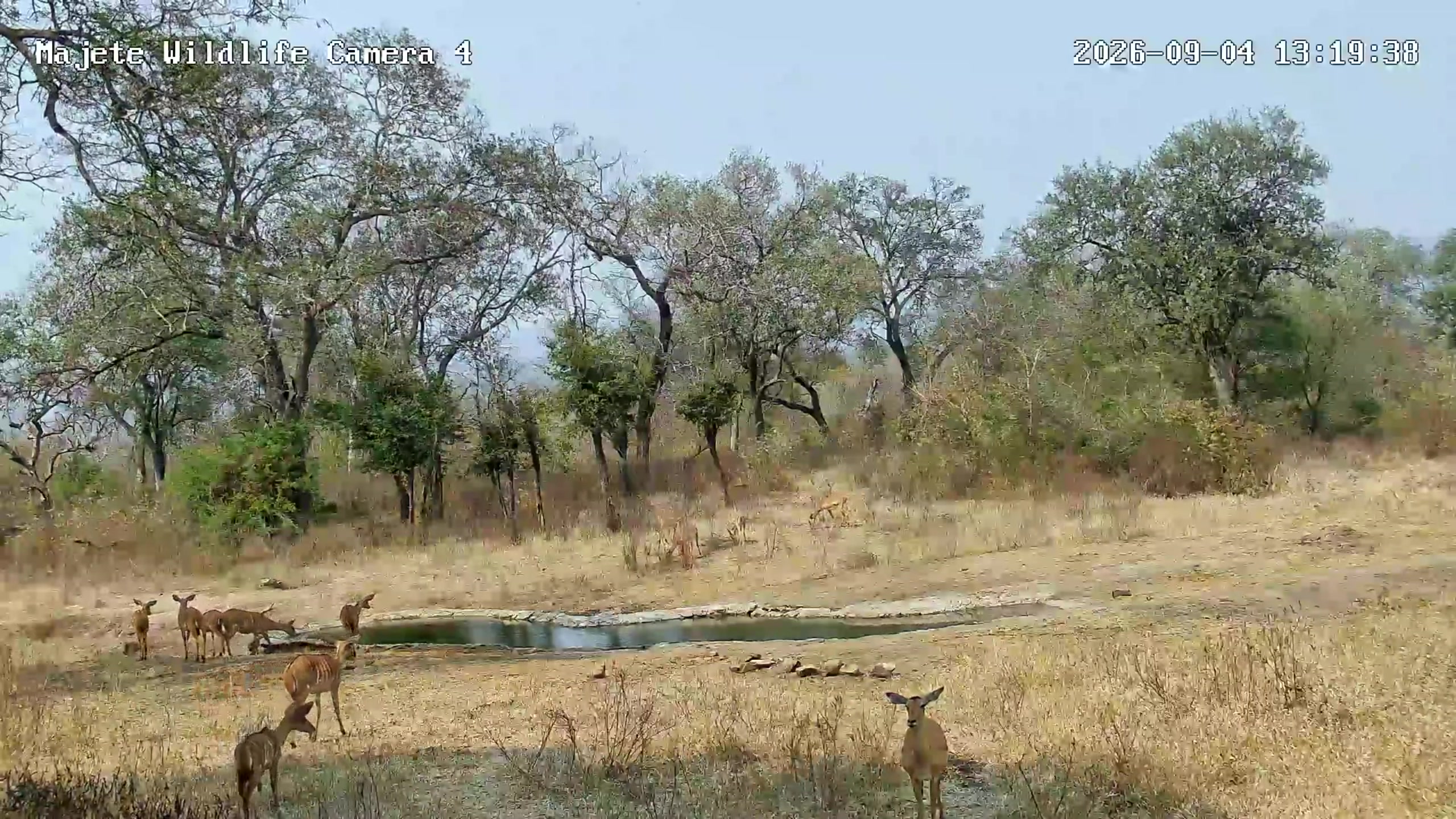 snapshot