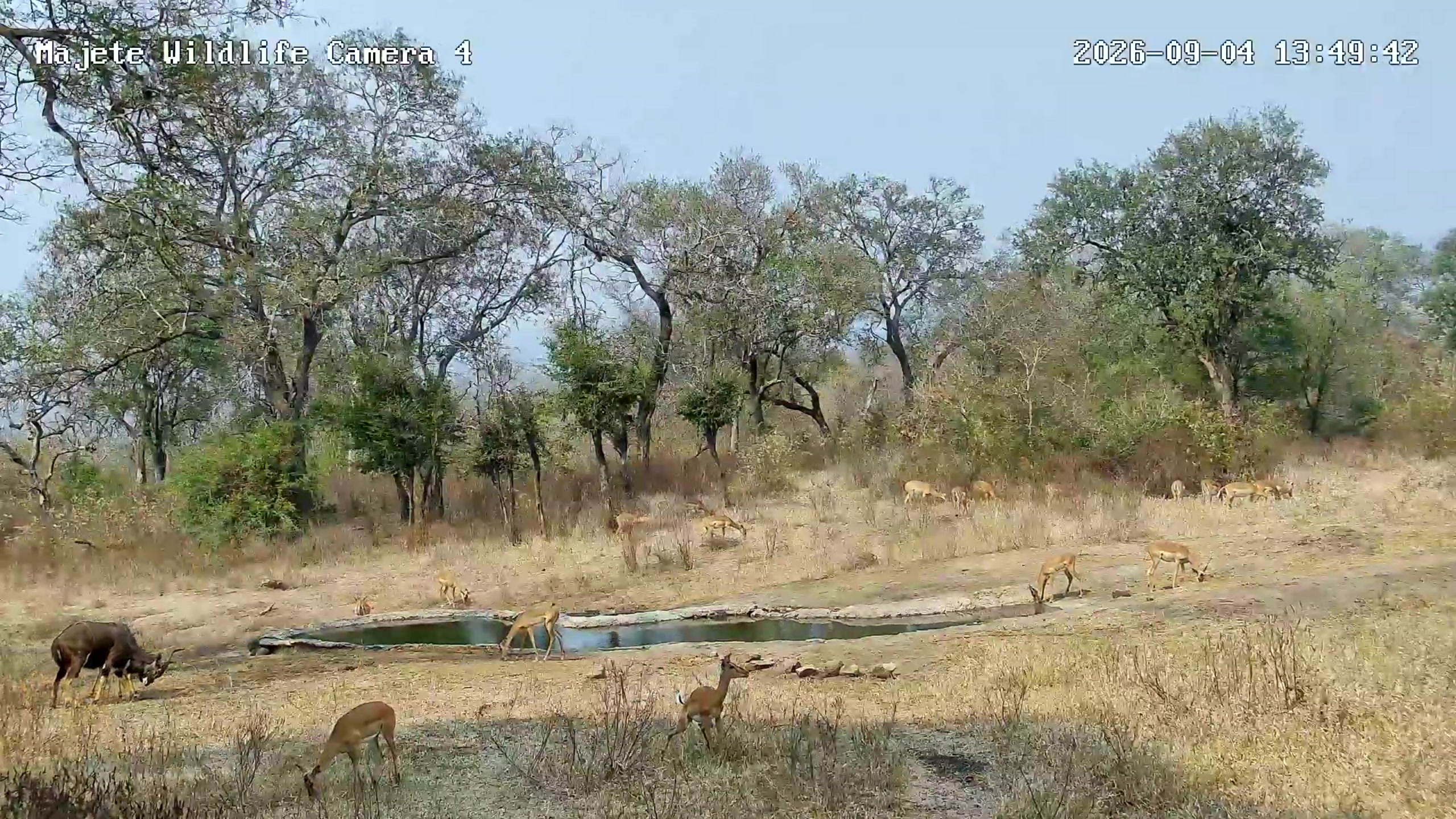snapshot