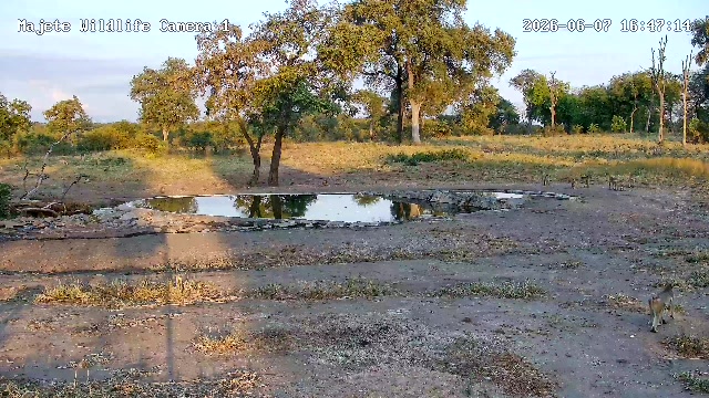 snapshot