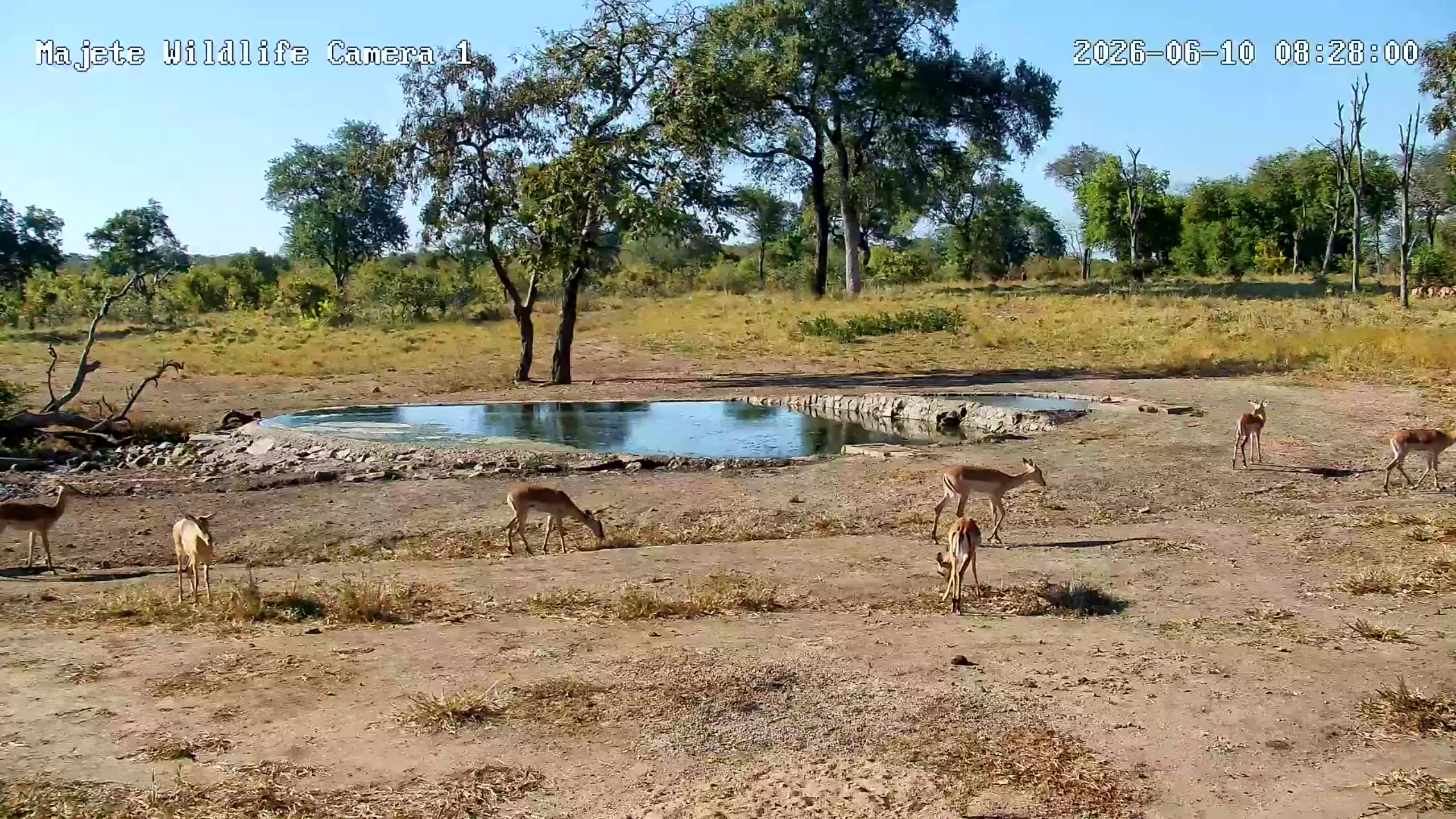 snapshot