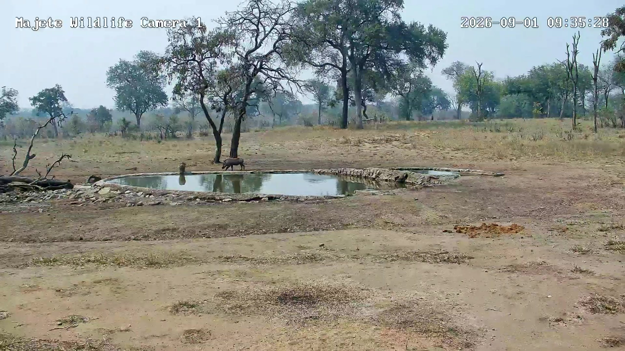 snapshot