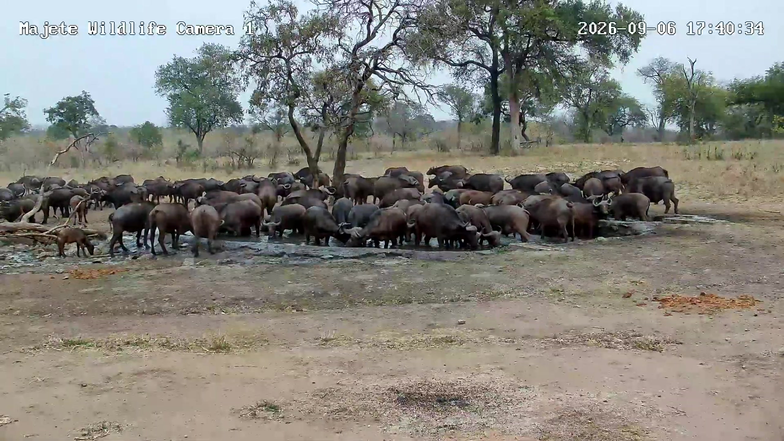 snapshot