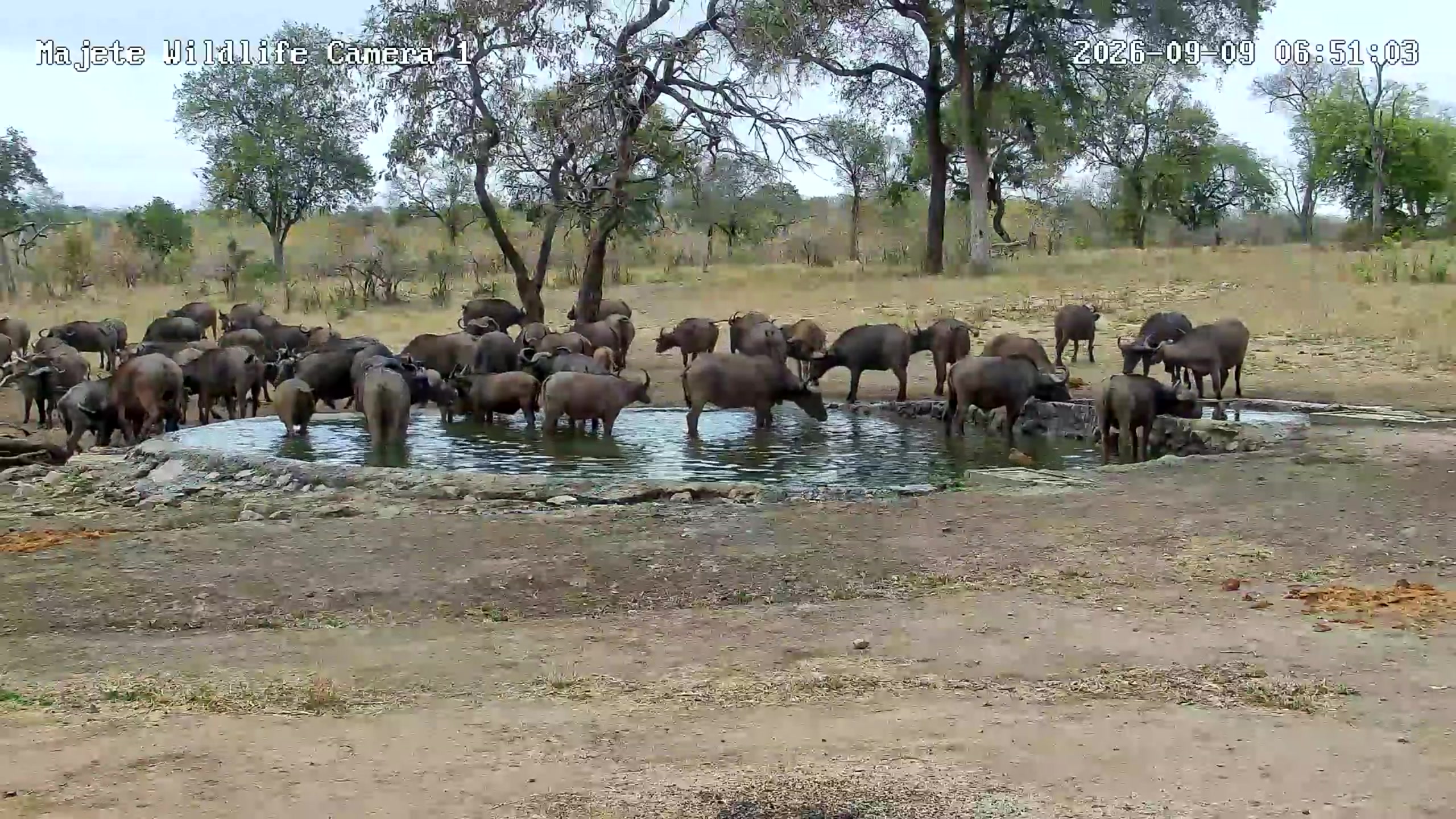 snapshot