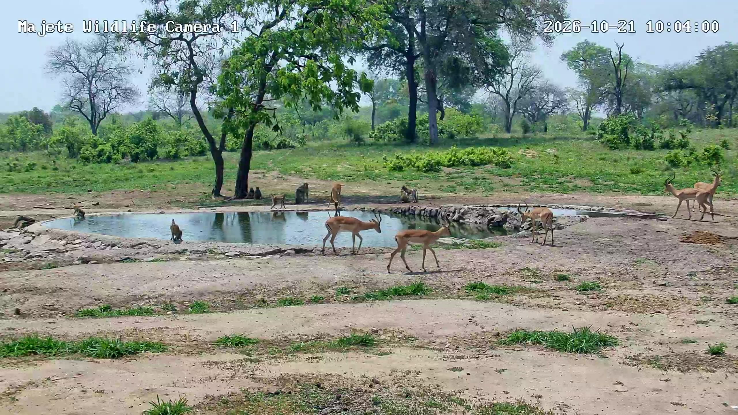 snapshot