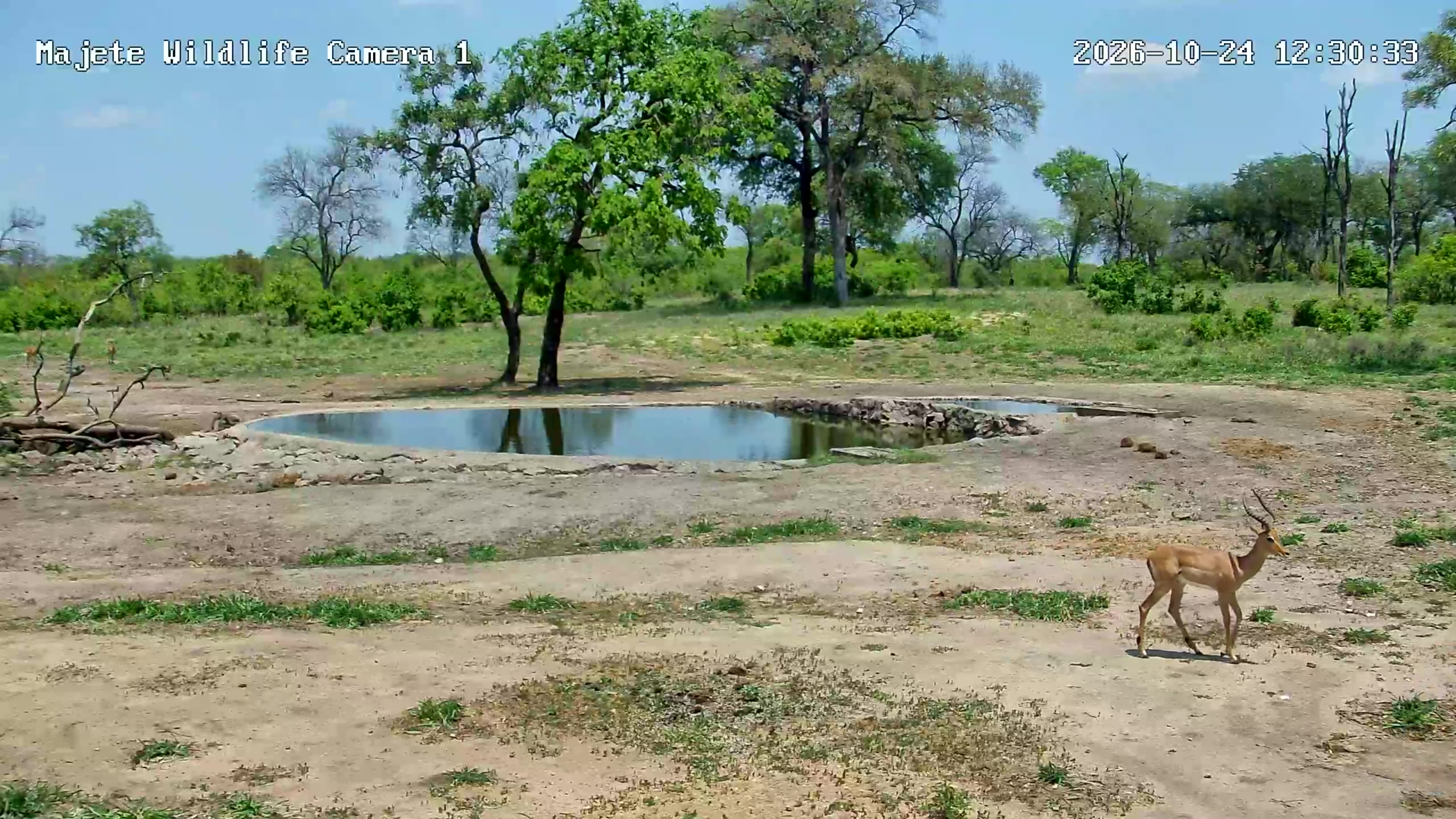 snapshot