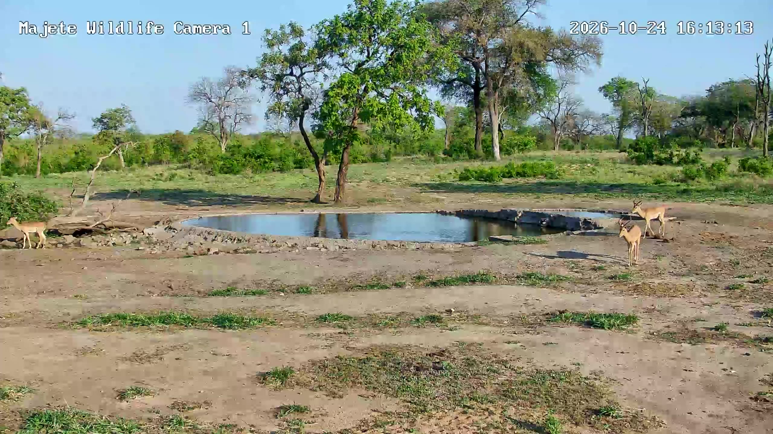 snapshot