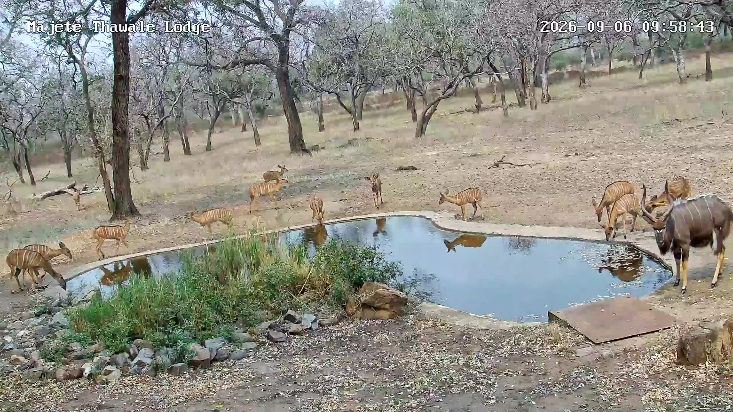 snapshot