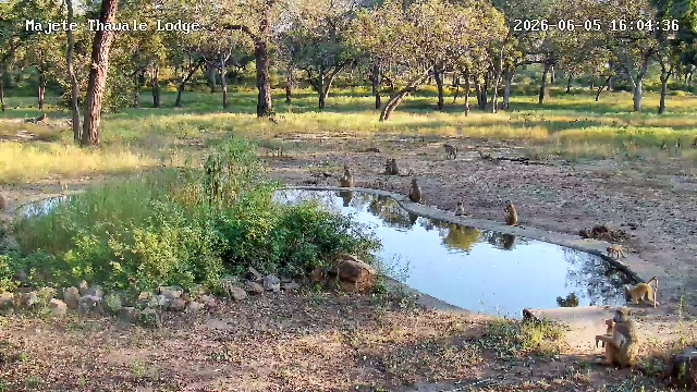 snapshot