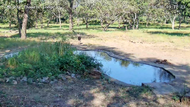 snapshot